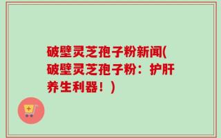 破壁灵芝孢子粉新闻(破壁灵芝孢子粉：护肝养生利器！)