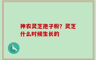 神农灵芝孢子粉？灵芝什么时候生长的