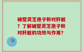 破壁灵芝孢子粉对肝脏？了解破壁灵芝孢子粉对肝脏的功效与作用？