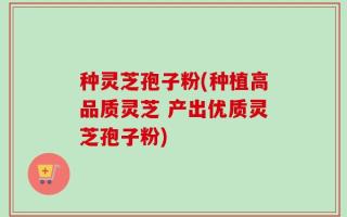 种灵芝孢子粉(种植高品质灵芝 产出优质灵芝孢子粉)