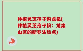 种植灵芝孢子粉龙泉(种植灵芝孢子粉：龙泉山区的新养生热点)