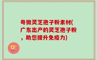 粤微灵芝孢子粉素材(广东出产的灵芝孢子粉，助您提升免疫力)