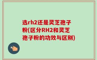 选rh2还是灵芝孢子粉(区分RH2和灵芝孢子粉的功效与区别)