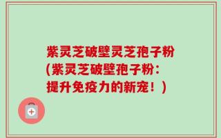紫灵芝破壁灵芝孢子粉(紫灵芝破壁孢子粉：提升免疫力的新宠！)