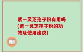 紫一灵芝孢子粉有用吗(紫一灵芝孢子粉的功效及使用建议)