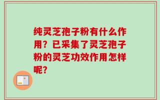 纯灵芝孢子粉有什么作用？已采集了灵芝孢子粉的灵芝功效作用怎样呢？