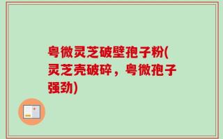 粤微灵芝破壁孢子粉(灵芝壳破碎，粤微孢子强劲)