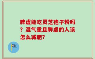 脾虚能吃灵芝孢子粉吗？湿气重且脾虚的人该怎么减肥？