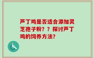 芦丁鸡是否适合添加灵芝孢子粉？？探讨芦丁鸡的饲养方法？