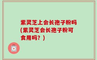 紫灵芝上会长孢子粉吗(紫灵芝会长孢子粉可食用吗？)