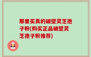 那里买真的破壁灵芝孢子粉(购买正品破壁灵芝孢子粉推荐)