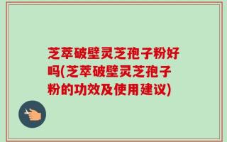 芝萃破壁灵芝孢子粉好吗(芝萃破壁灵芝孢子粉的功效及使用建议)