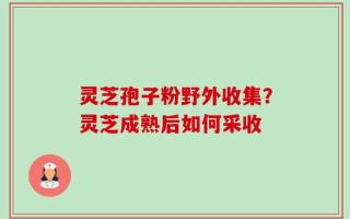 灵芝孢子粉野外收集？灵芝成熟后如何采收