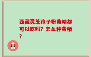 西藏灵芝孢子粉黄精都可以吃吗？怎么种黄精？
