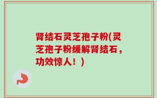 肾结石灵芝孢子粉(灵芝孢子粉缓解肾结石，功效惊人！)