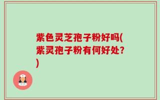 紫色灵芝孢子粉好吗(紫灵孢子粉有何好处？)