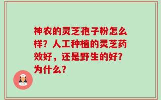 神农的灵芝孢子粉怎么样？人工种植的灵芝药效好，还是野生的好？为什么？
