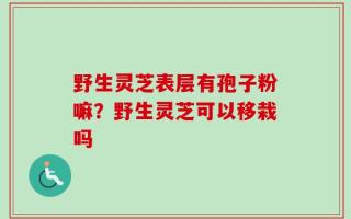 野生灵芝表层有孢子粉嘛？野生灵芝可以移栽吗