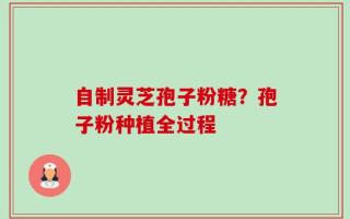 自制灵芝孢子粉糖？孢子粉种植全过程