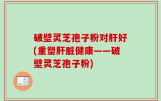 破壁灵芝孢子粉对肝好(重塑肝脏健康——破壁灵芝孢子粉)