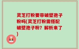灵芝打粉要带破壁孢子粉吗(灵芝打粉需搭配破壁孢子粉？解析来了)