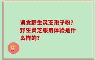 误食野生灵芝孢子粉？野生灵芝服用体验是什么样的？