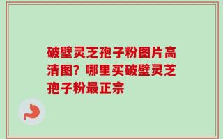 破壁灵芝孢子粉图片高清图？哪里买破壁灵芝孢子粉最正宗