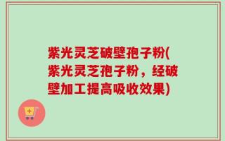 紫光灵芝破壁孢子粉(紫光灵芝孢子粉，经破壁加工提高吸收效果)