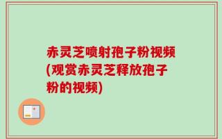 赤灵芝喷射孢子粉视频(观赏赤灵芝释放孢子粉的视频)