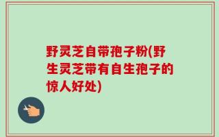野灵芝自带孢子粉(野生灵芝带有自生孢子的惊人好处)