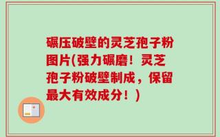 碾压破壁的灵芝孢子粉图片(强力碾磨！灵芝孢子粉破壁制成，保留最大有效成分！)