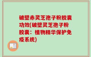 破壁赤灵芝孢子粉胶囊功效(破壁灵芝孢子粉胶囊：植物精华保护免疫系统)