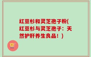 红豆杉和灵芝孢子粉(红豆杉与灵芝孢子：天然护肝养生良品！)
