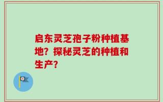 启东灵芝孢子粉种植基地？探秘灵芝的种植和生产？
