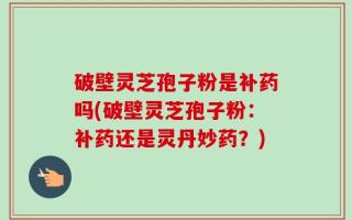 破壁灵芝孢子粉是补药吗(破壁灵芝孢子粉：补药还是灵丹妙药？)