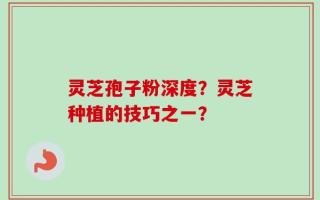 灵芝孢子粉深度？灵芝种植的技巧之一？