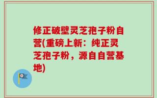 修正破壁灵芝孢子粉自营(重磅上新：纯正灵芝孢子粉，源自自营基地)