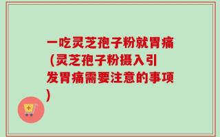 一吃灵芝孢子粉就胃痛 (灵芝孢子粉摄入引发胃痛需要注意的事项)