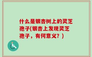 什么是银杏树上的灵芝孢子(银杏上发现灵芝孢子，有何意义？)