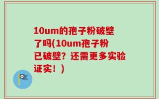 10um的孢子粉破壁了吗(10um孢子粉已破壁？还需更多实验证实！)