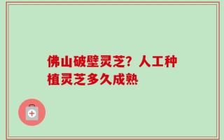 佛山破壁灵芝？人工种植灵芝多久成熟