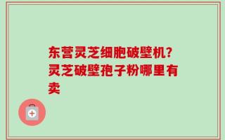 东营灵芝细胞破壁机？灵芝破壁孢子粉哪里有卖