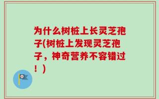 为什么树桩上长灵芝孢子(树桩上发现灵芝孢子，神奇营养不容错过！)
