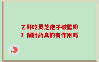 乙肝吃灵芝孢子破壁粉？保肝药真的有作用吗