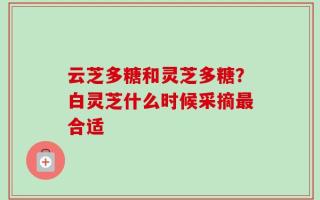 云芝多糖和灵芝多糖？白灵芝什么时候采摘最合适