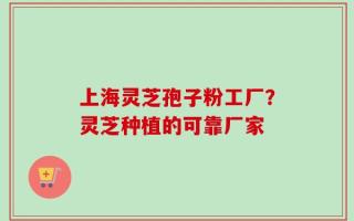 上海灵芝孢子粉工厂？灵芝种植的可靠厂家