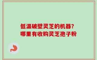 低温破壁灵芝的机器？哪里有收购灵芝孢子粉
