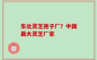 东北灵芝孢子厂？中国最大灵芝厂家