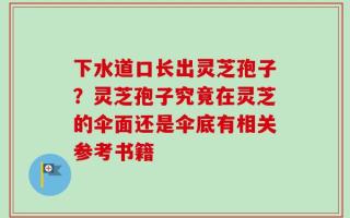 下水道口长出灵芝孢子？灵芝孢子究竟在灵芝的伞面还是伞底有相关参考书籍