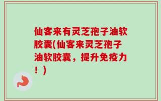 仙客来有灵芝孢子油软胶囊(仙客来灵芝孢子油软胶囊，提升免疫力！)